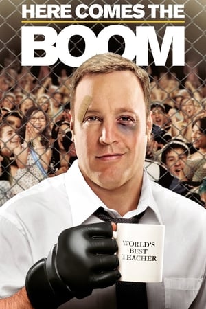Here Comes the Boom 2012 Hindi Dual Audio HDRip | Hindi Dubbed Movie – 480p
