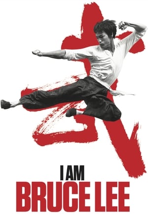 I Am Bruce Lee 2012 300MB Hindi Dual Audio Bluray | Hindi Dubbed Movie