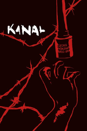 Kanal 2015 Hindi Dual Audio | Hindi Dubbed Movie UnCut HDRip [1.3GB]