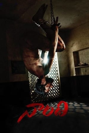 Naandhi (2021) (Hindi – Telugu) Dual Audio UnCut HDRip | Hindi Dubbed Movie – 480p